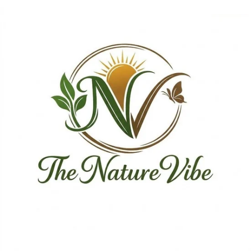 The Nature Vibe
