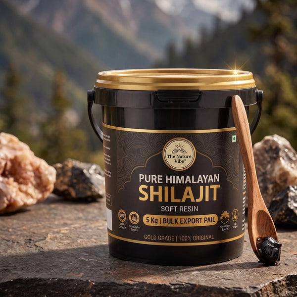5 Kg bulk export pail pure Himalayan Shilajit soft resin wholesale container by The Nature Vibe